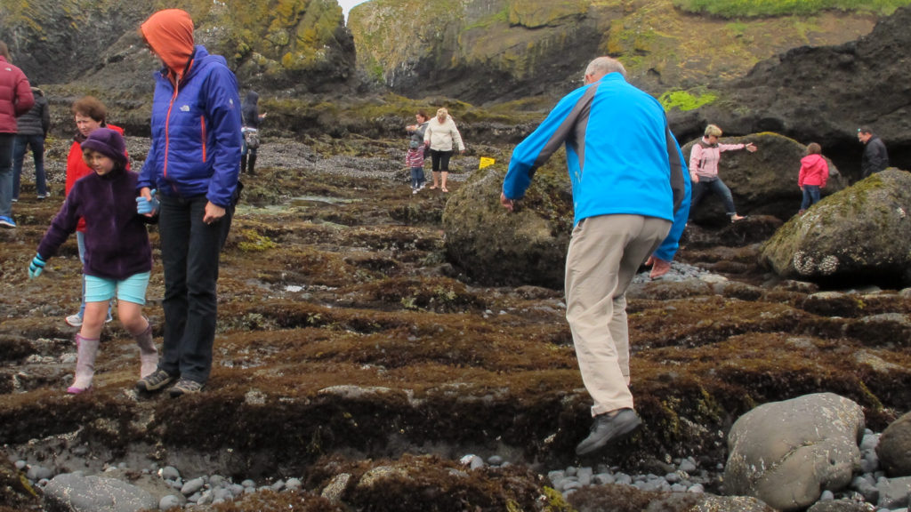 Older man leaps to next rock