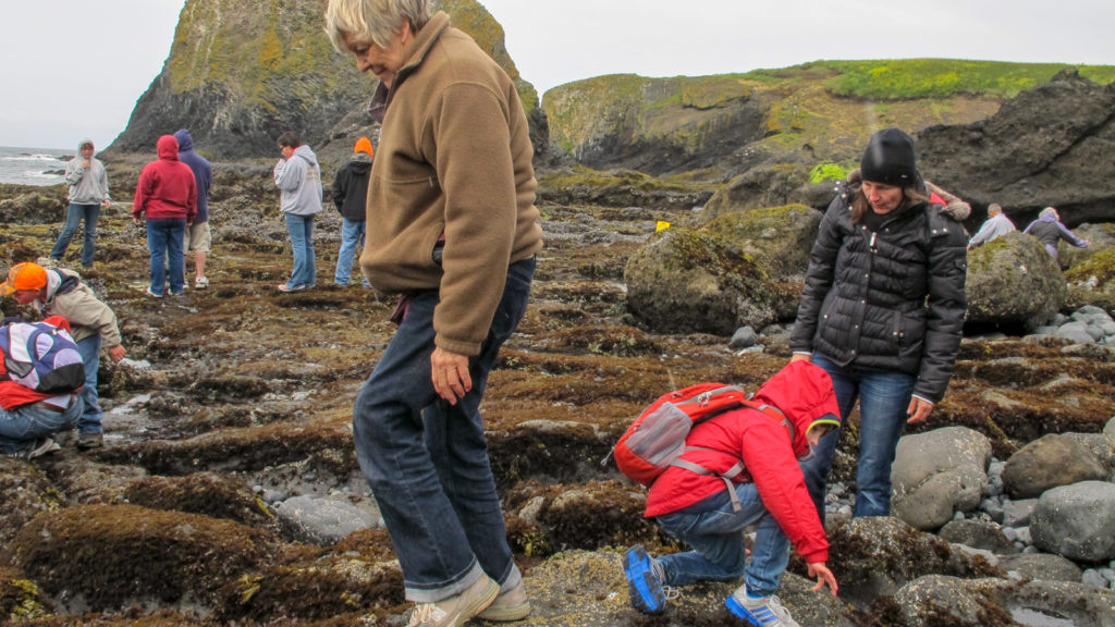 Boy kneels to get off rock